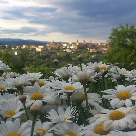 בית נופש Cozy House In מונטה סן סאבינו