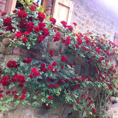 בית נופש Cozy House In מונטה סן סאבינו