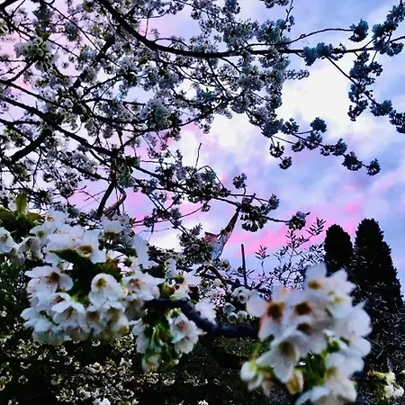 Cozy House In * מונטה סן סאבינו