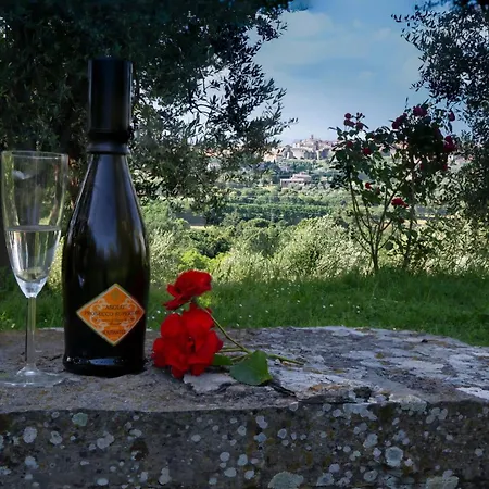 בית נופש Cozy House In *