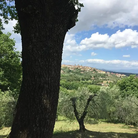 בית נופש Cozy House In *