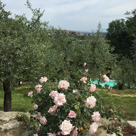 Cozy House In בית נופש