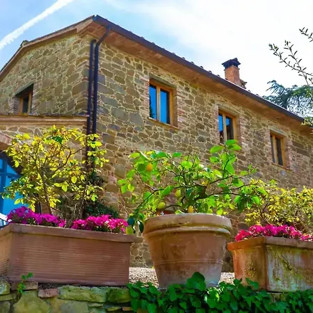 Cozy House In